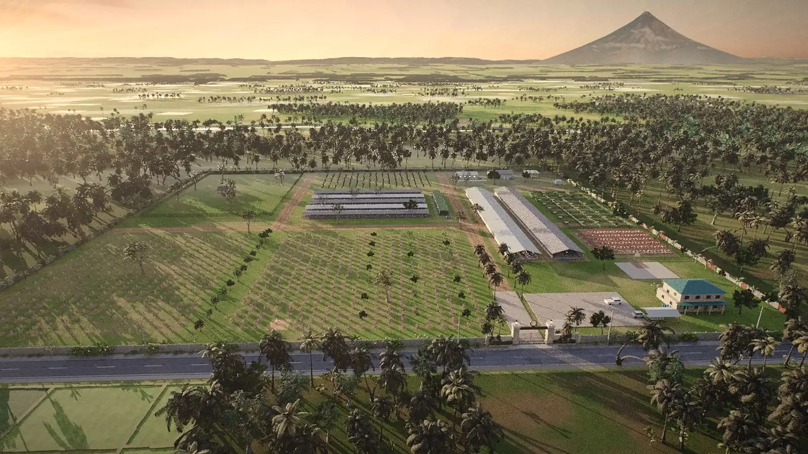 A walled farm among rice paddies, from the air.